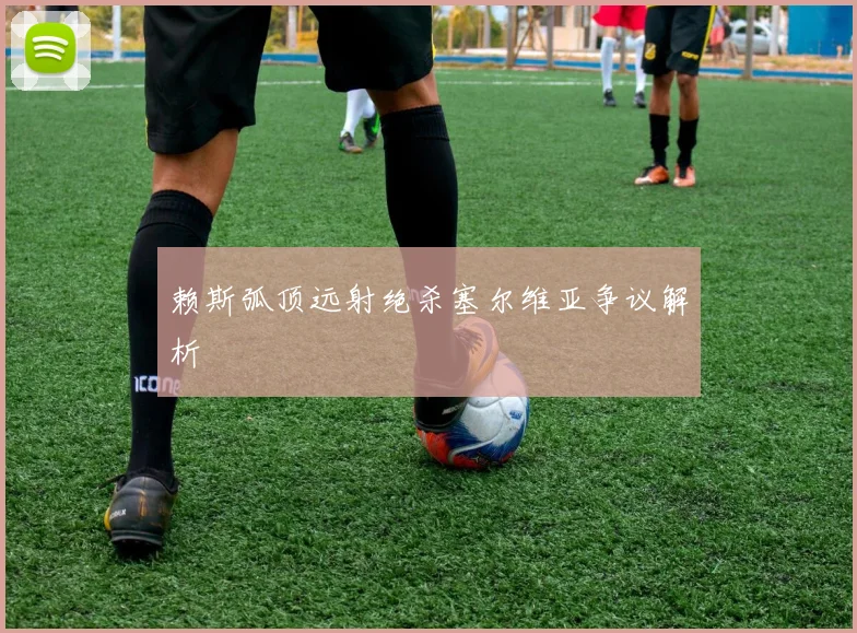 赖斯弧顶远射绝杀塞尔维亚争议解析
