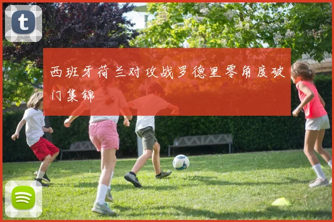 西班牙荷兰对攻战罗德里零角度破门集锦