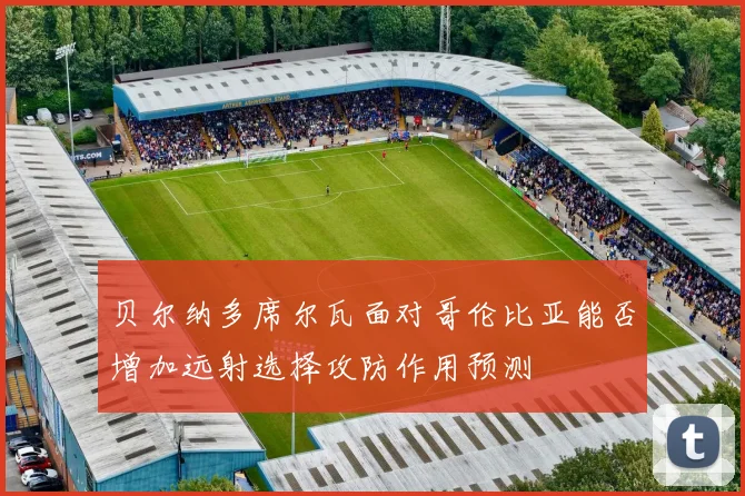 贝尔纳多席尔瓦面对哥伦比亚能否增加远射选择攻防作用预测